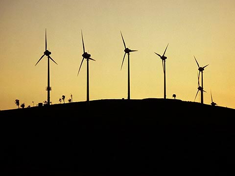 christchurch photographer photograph of wind turbines in sunset by murray irwin
